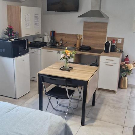 Studio Plein Sud Au Calme Montauban Bagian luar foto